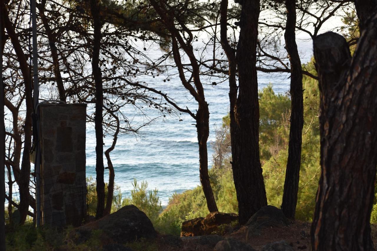 Dolihis Gi, Poseidon Villa Gialiskari  Bagian luar foto